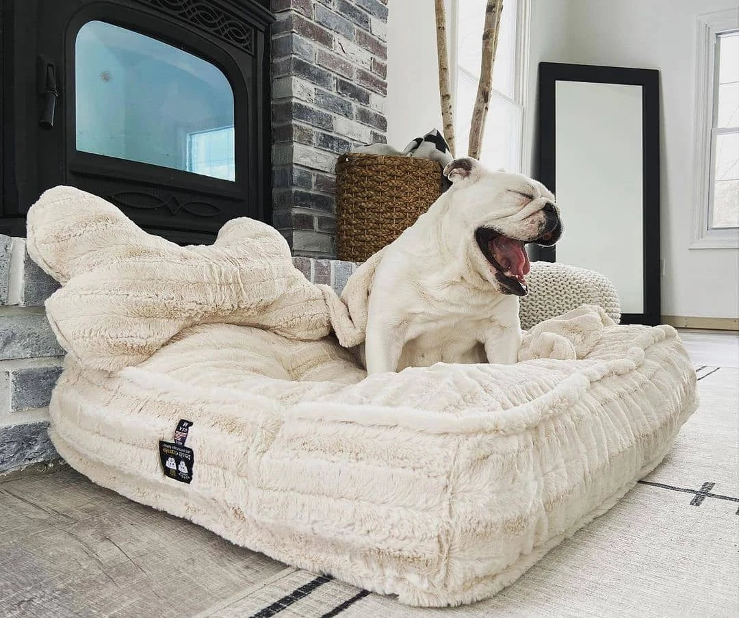 Luxury Inspired Chewy V Dog Bandana Black/White