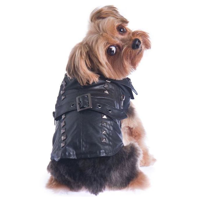 Faux Fur Dog Biker Jacket: Black