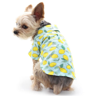 Blue Lemon Dog Shirt DOGO clothes for small dogs, cute dog apparel, cute dog clothes, dog apparel, dog sweaters