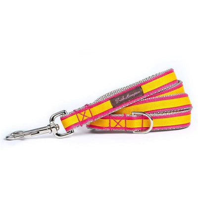 - Coral and Gold Stripe Dog Leash NEW ARRIVAL