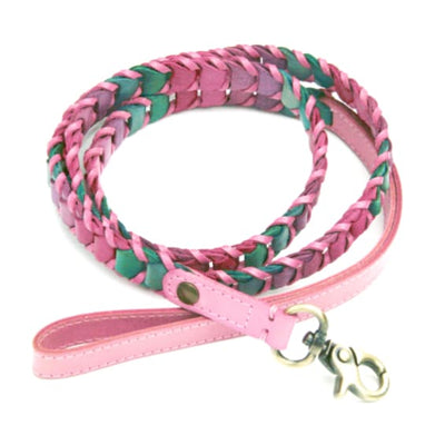 - Multicolor Leather Dog Leash Dog In The Closet New Arrival