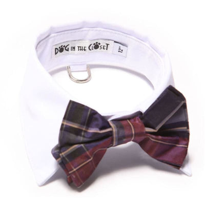 - White Shirt Dog Collar With Purple Plaid Silk Bow Tie dog in the closet NEW ARRIVAL