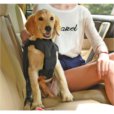 - Road-To- Safety Dog Car Harness