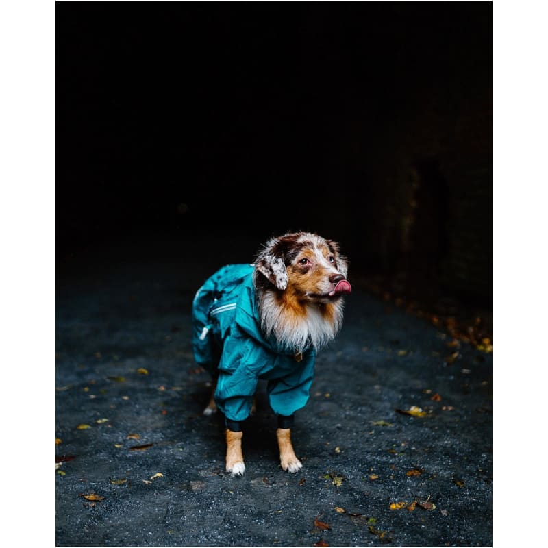 Hurtta Mudventure Overall ECO Peacock DIGPETS, NEW ARRIVAL