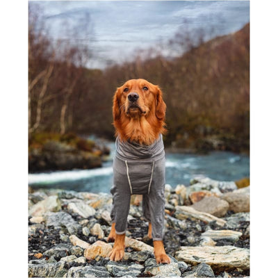 Hurtta Body Warmer Overall Carbon Gray DIGPETS, NEW ARRIVAL
