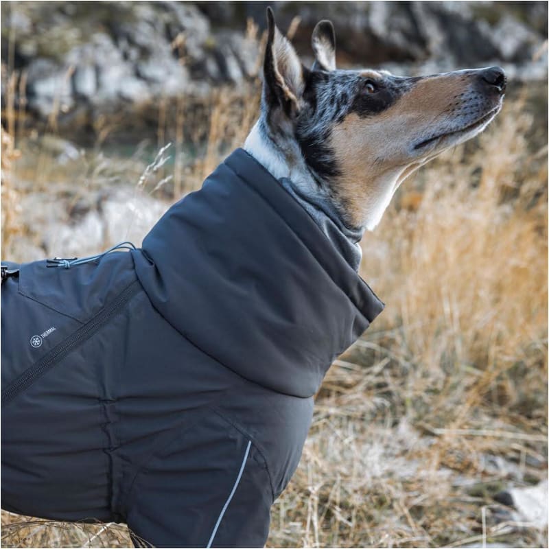 Hurtta Extreme Overall Dog Snowsuit Blackberry DIGPETS, NEW ARRIVAL