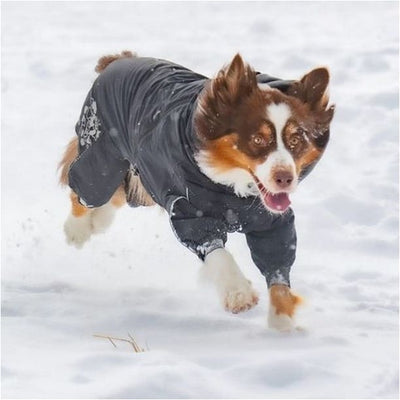 Hurtta Extreme Overall Dog Snowsuit Blackberry DIGPETS, NEW ARRIVAL