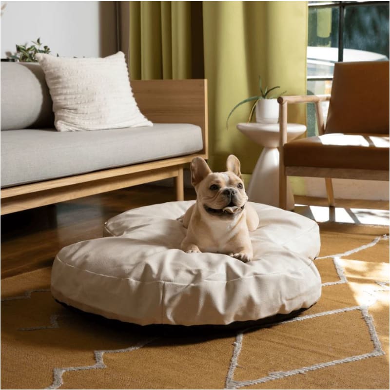 PupCloud­™ Faux Leather Memory Foam Dog Bed - Cream NEW ARRIVAL, PAW