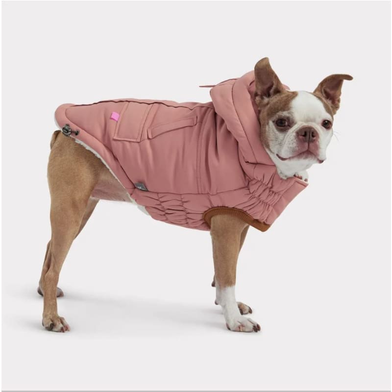 Arctic Dog Parka in Clay Dog Apparel NEW ARRIVAL