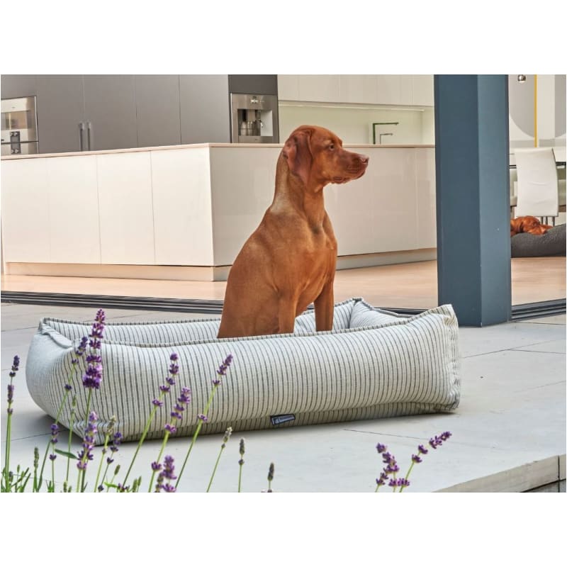 Bowsers Augusta Microlinen Urban Lounger Dog Bed Dog Beds bolster beds for dogs, BOWSERS, luxury dog beds, memory foam dog beds, orthopedic