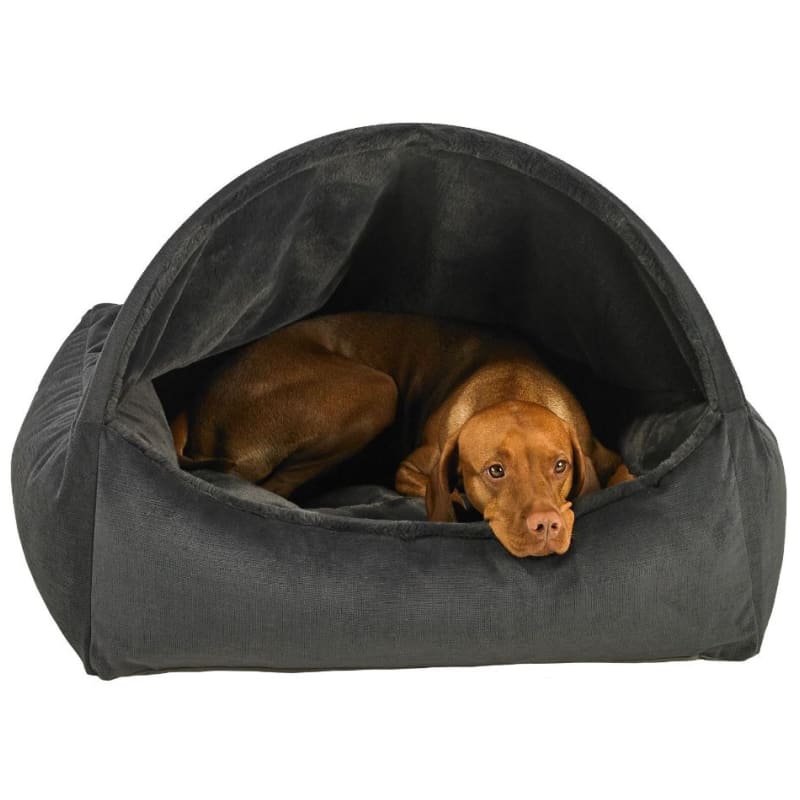 Microvelvet Canopy Dog Bed in Galaxy Dog Beds BOWSERS