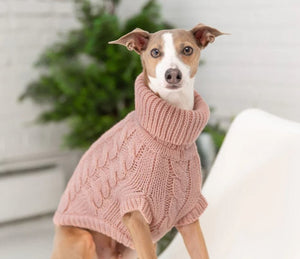 Chewy V Denim Dog Jacket  Trendy Outerwear for Your Pet