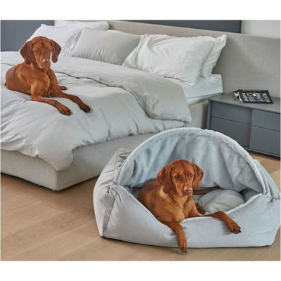 Microvelvet Canopy Dog Bed in Cloud Dog Beds BOWSERS