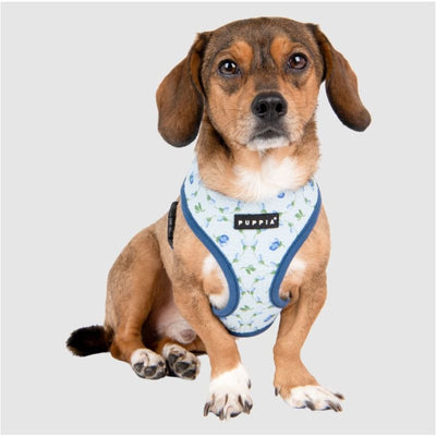 Florian Dog Harness A Pet Collars & Harnesses dog harnesses, harnesses for small dogs, NEW ARRIVAL