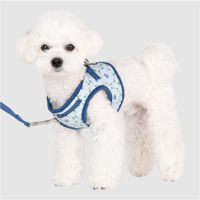 Florian Blue Dog Vest Harness Pet Collars & Harnesses NEW ARRIVAL