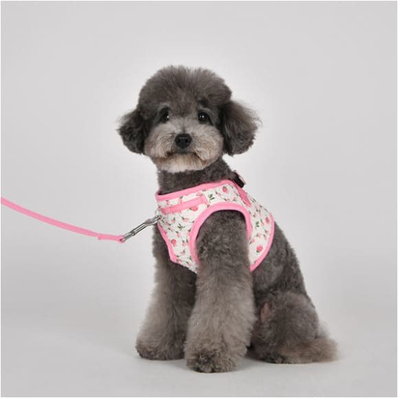 Florian Pink Dog Vest Harness Pet Collars & Harnesses NEW ARRIVAL