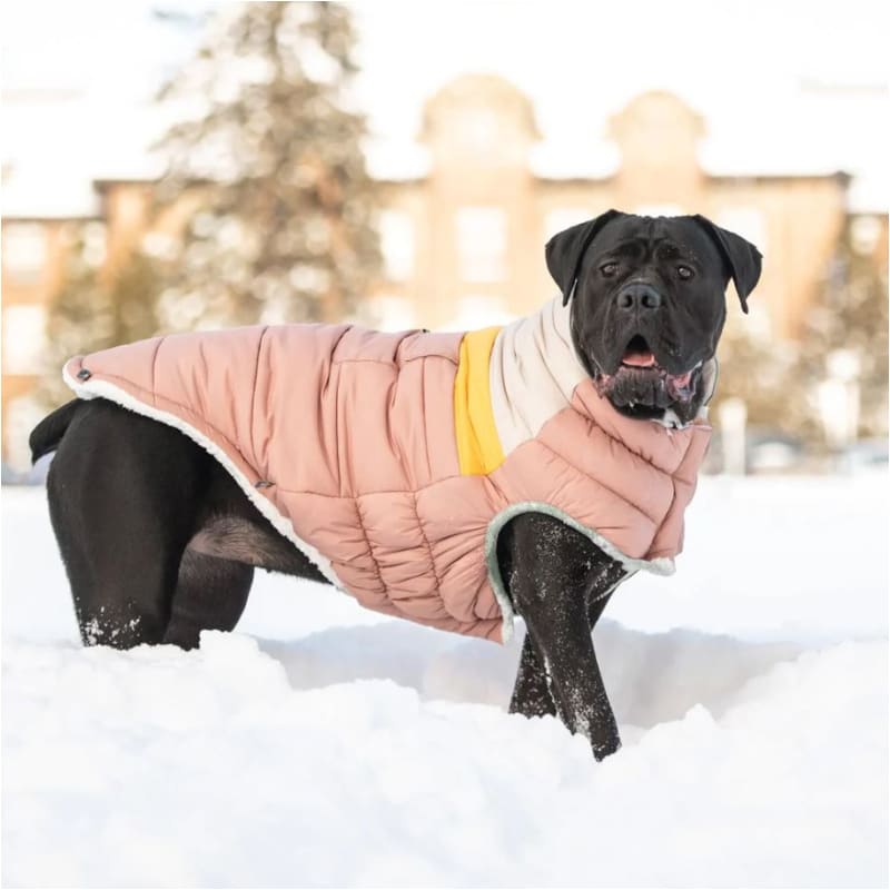 Camplife Dog Puffer in Clay Dog Apparel GF PET, NEW ARRIVAL