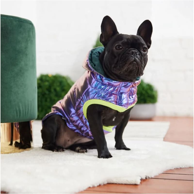 Recycled Iridescent Dog Parka Dog Apparel NEW ARRIVAL