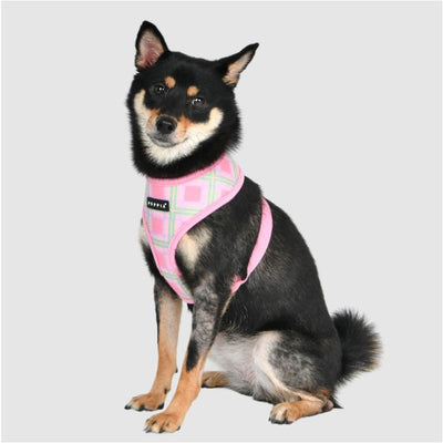 Jaylen Dog Harness A Pet Collars & Harnesses dog harnesses, harnesses for small dogs, NEW ARRIVAL