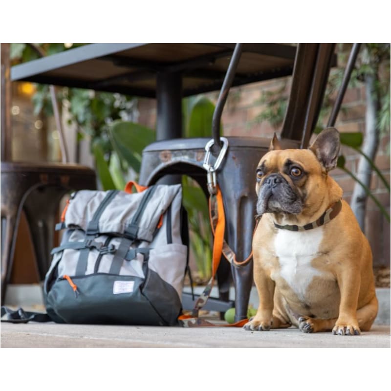K9 Sport Sack Urban 3 Pet Carriers & Crates dog carriers, dog carriers backpack, dog carriers slings, dog purse carrier, MORE COLOR OPTIONS