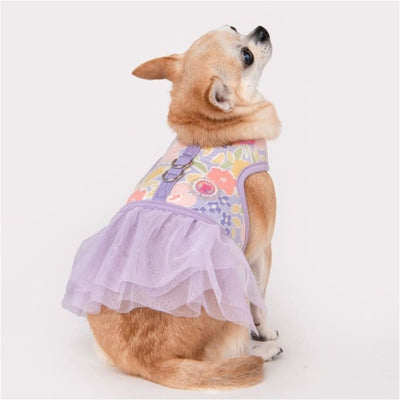 Evanthe Purple Flirt Dog Harness Dress NEW ARRIVAL