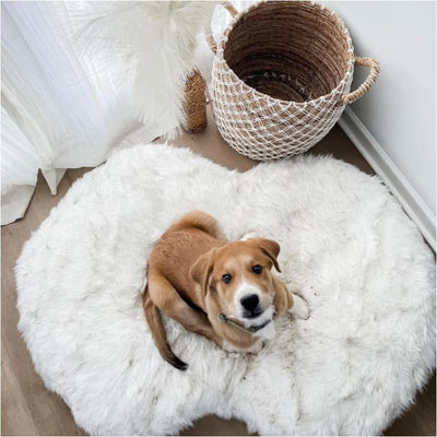 PupCloud­™ Faux Fur Memory Foam Dog Bed - Curve White NEW ARRIVAL, PAW