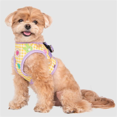 Purple Annabelle Vest Harness Pet Collars & Harnesses NEW ARRIVAL