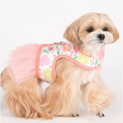 Evanthe Pink Flirt Dog Harness Dress NEW ARRIVAL