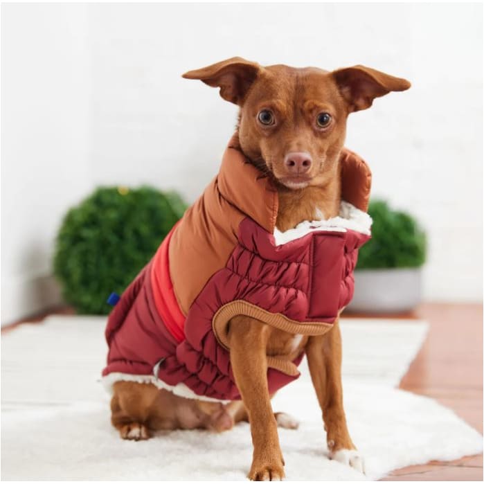 Dark Red Retro Elasto-Fit Puffer Coat Dog Apparel