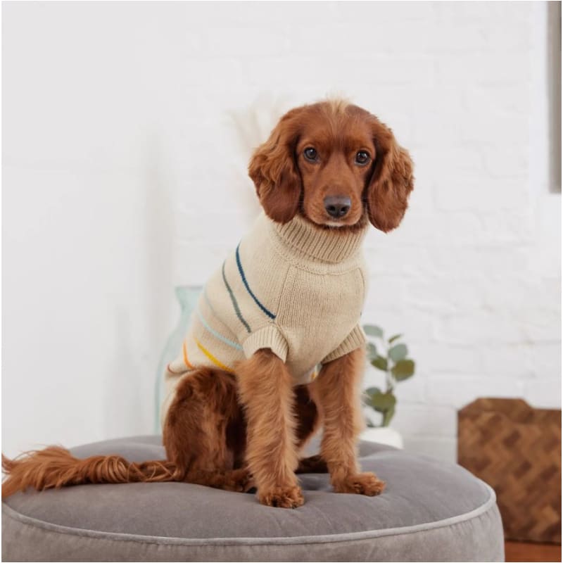 Artic Dog Sweater in Sand Dog Apparel GF PET SWEATER, NEW ARRIVAL