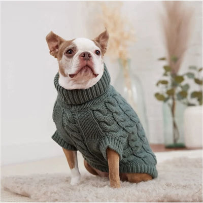 Sage Chalet Sweater Dog Apparel GF PET SWEATER, NEW ARRIVAL