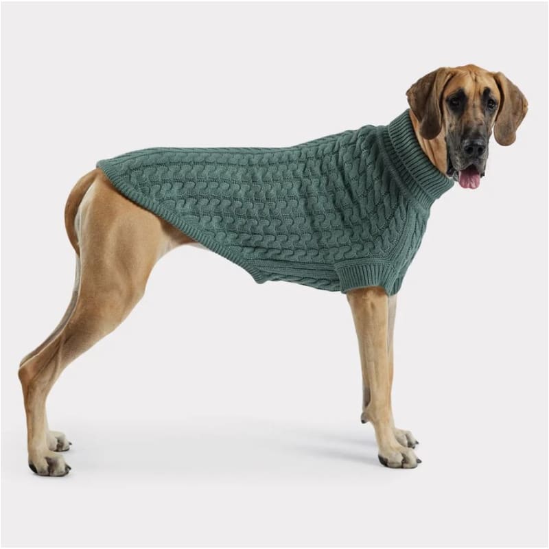 Sage Chalet Sweater Dog Apparel GF PET SWEATER, NEW ARRIVAL