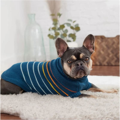 Arctic Dog Sweater in Teal Dog Apparel GF PET SWEATER, NEW ARRIVAL