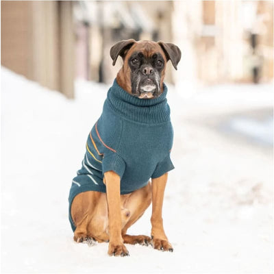 Arctic Dog Sweater in Teal Dog Apparel GF PET SWEATER, NEW ARRIVAL