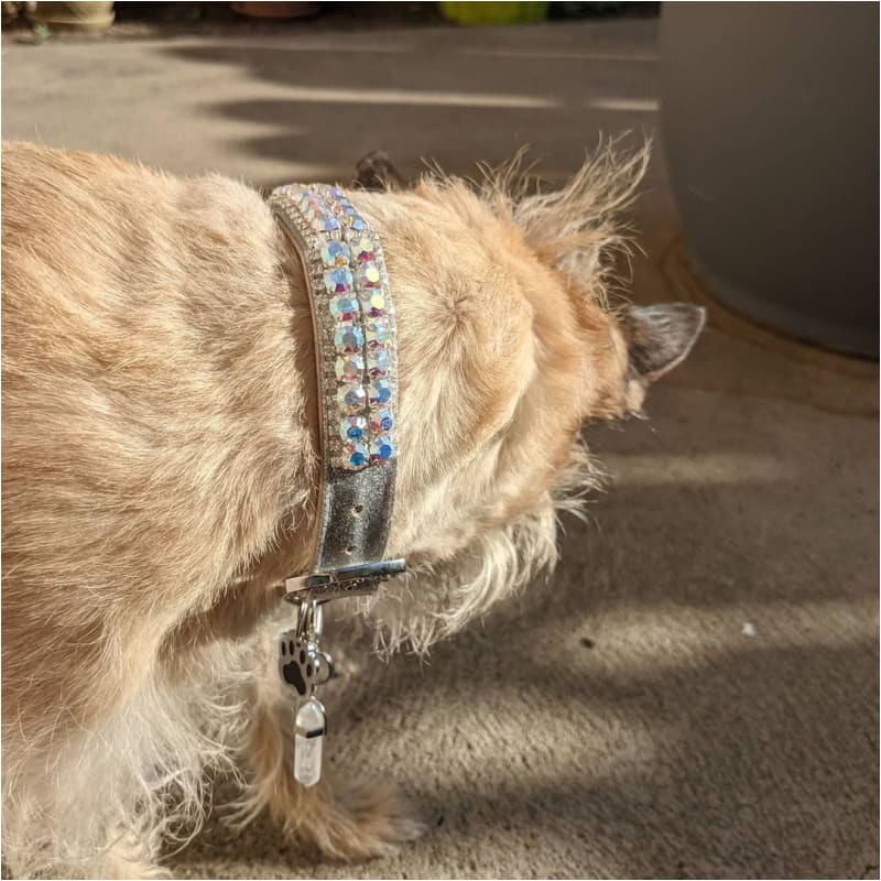 Aura Chakra Inspired Inner Harmony Pet Collar MADE TO ORDER, NEW ARRIVAL