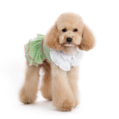 - Little Flower Dog Dress DRESSES NEW ARRIVAL