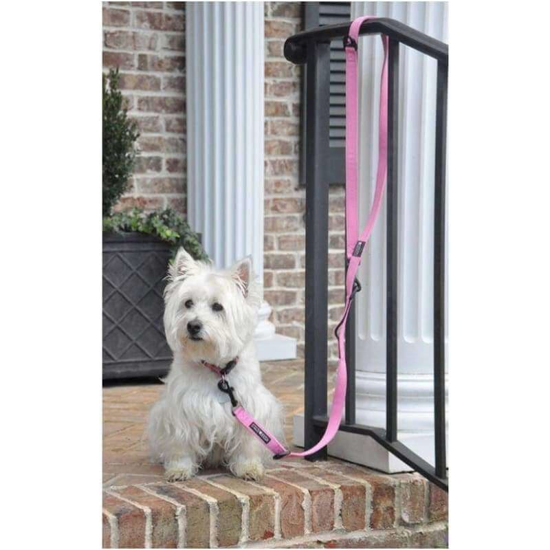 - 6 Way Multi-Function Dog Leash NEW ARRIVAL