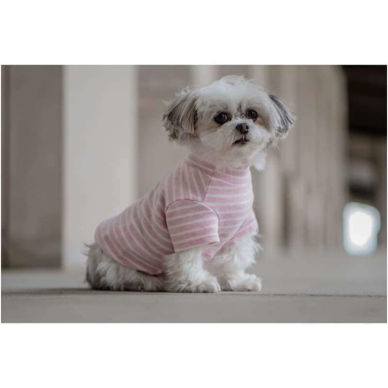 - Back To Basics Pink Dog Tee clothes for small dogs cute dog apparel cute dog clothes dog apparel dog sweaters