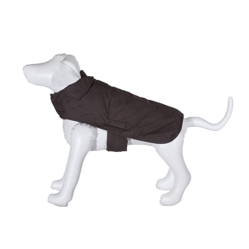 Acadia National Park Dog Coat Dog Apparel