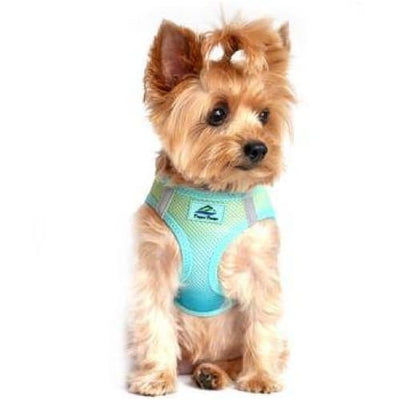 Ombre American River Choke Free Harness dog harnesses, HARNESSES, harnesses for small dogs