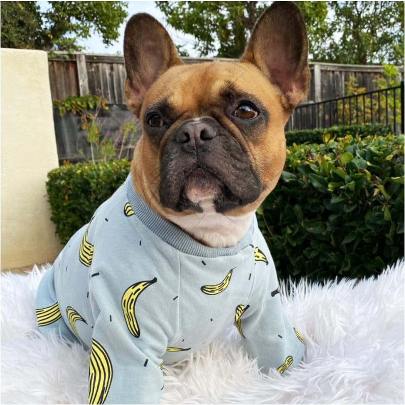 Blue OH! Banana Dog Pajamas