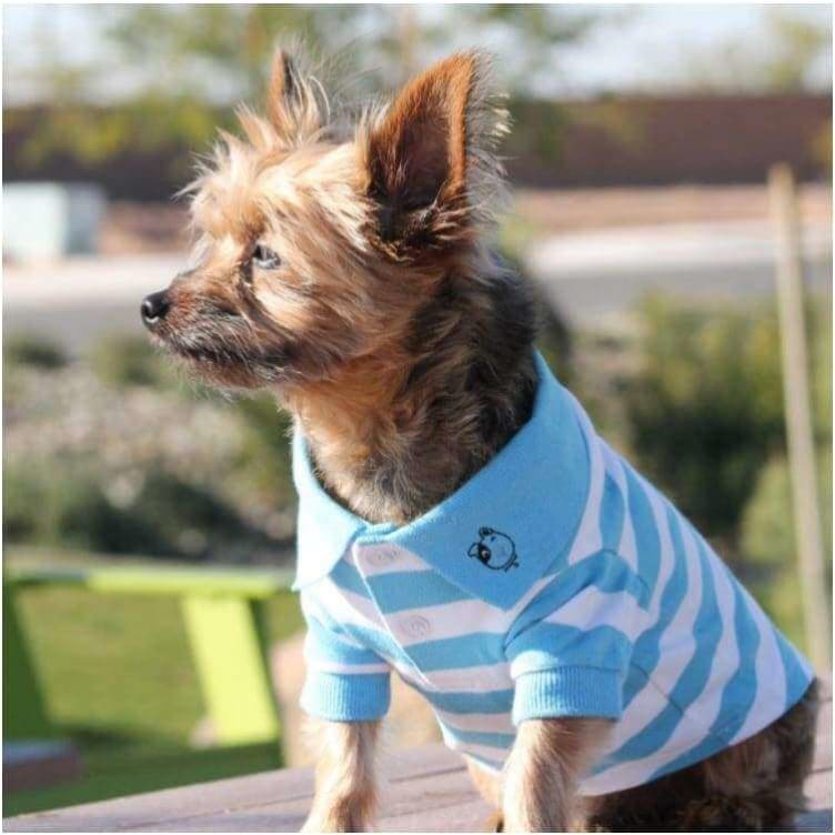 100% Cotton Preppy Pup Polo - Blue Stripe NEW ARRIVAL