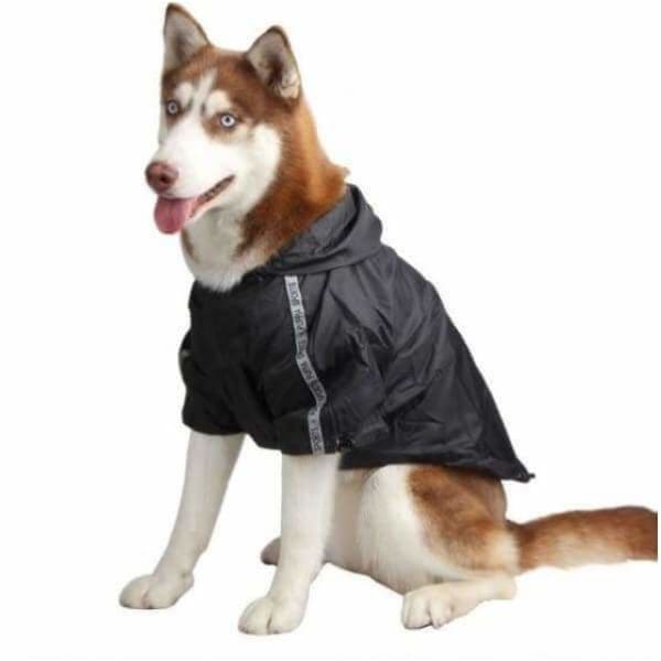 - Base Jumper Dog Raincoat in Black NEW ARRIVAL