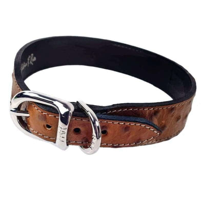 - Belmont Brown Italian Leather Dog Collar In Ostrich & Nickel