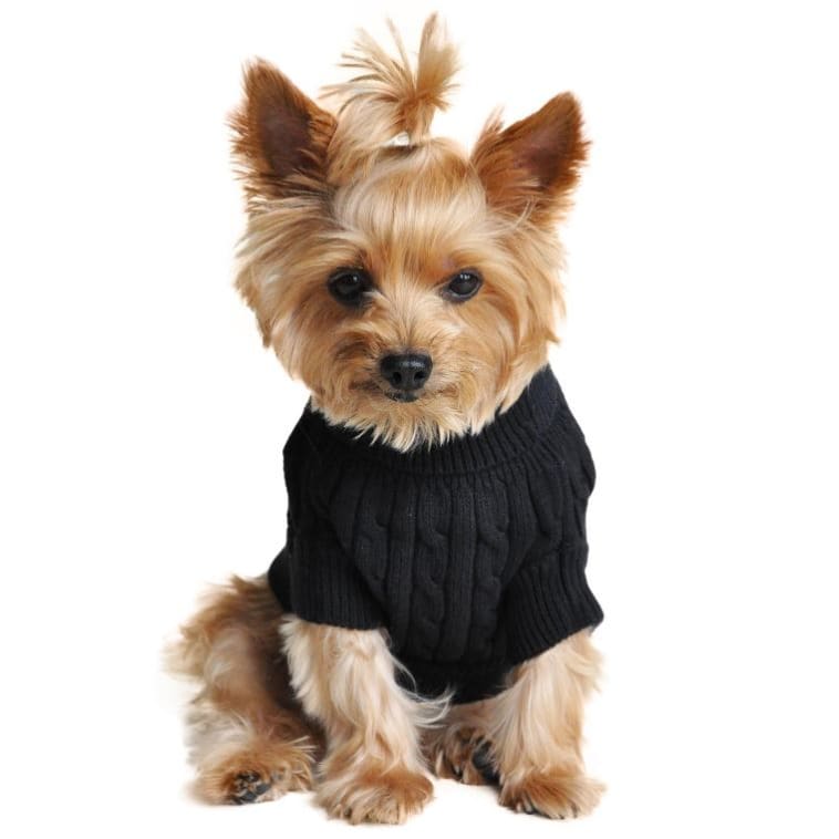 100% Pure Combed Cotton Cable Knit Dog Sweater – Ruff Houzin