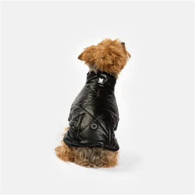 Black Pheonix Vegan Leather Dog Jacket Dog Apparel NEW ARRIVAL