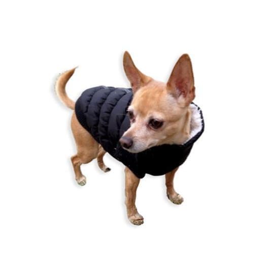 - Hip Doggie Crown Puffer Vest