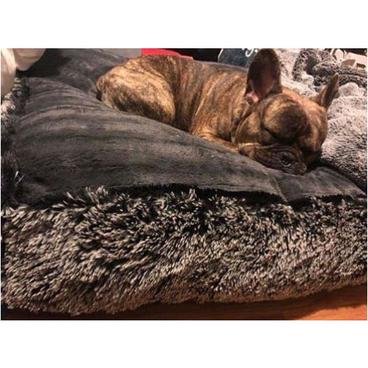 - Sicilian Rectangle Dog Bed BEDS