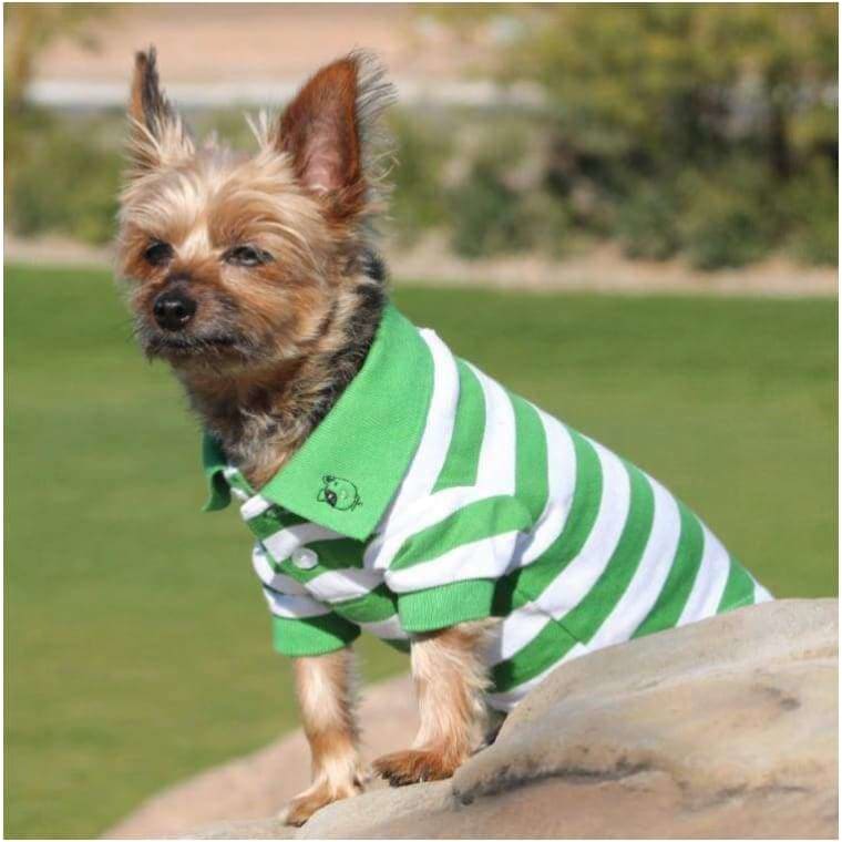 100% Cotton Preppy Pup Polo - Green Stripe NEW ARRIVAL