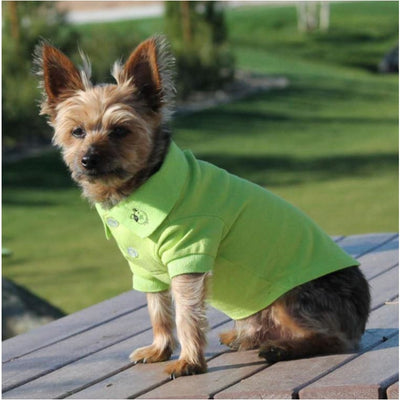 Green Flash 100% Cotton Preppy Pup Polo clothes for small dogs, cute dog apparel, cute dog clothes, dog apparel, dog sweaters